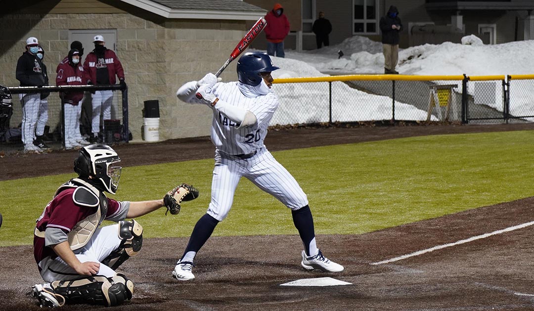 Baseball: Perez, Falcons top Anna Maria 10-1