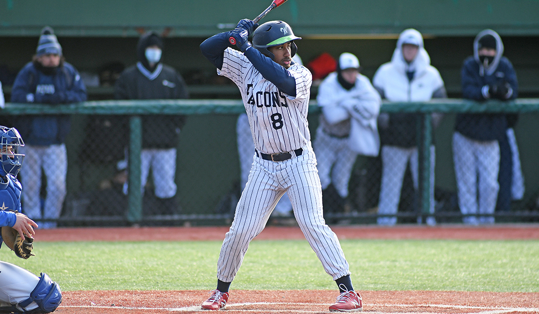 Baseball: Falcons split twin-bill at Mitchell College