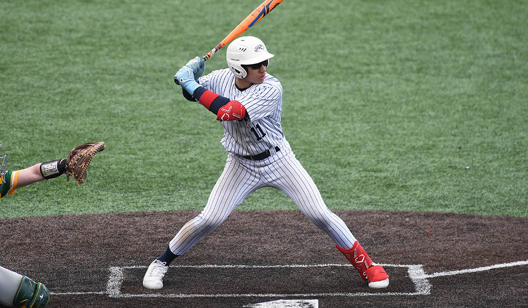 Baseball: Falcons split DH with Florida National