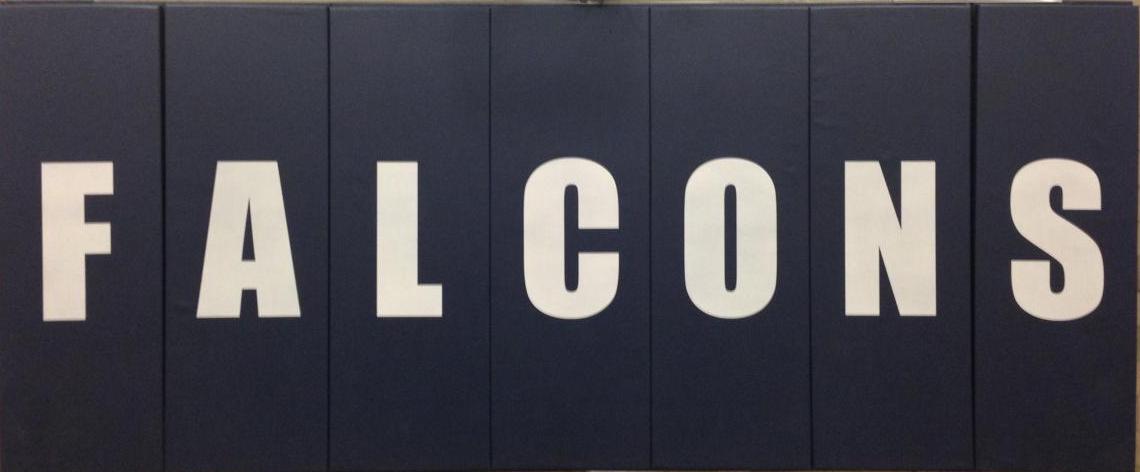 Falcons dealt a loss to Concordia University Texas. 55-64