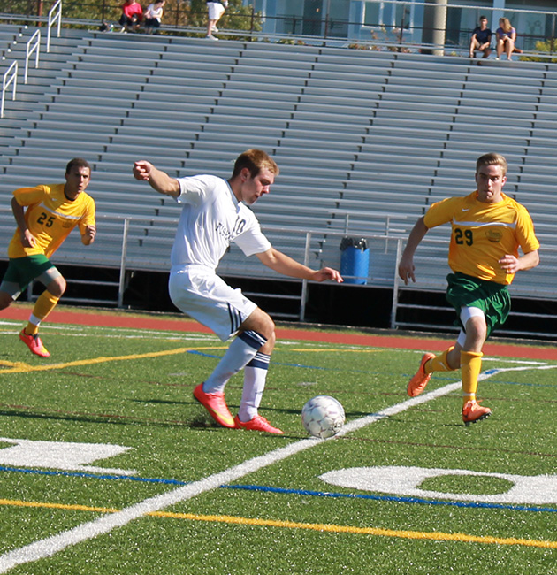 Falcons Defend Nest Against Hawks