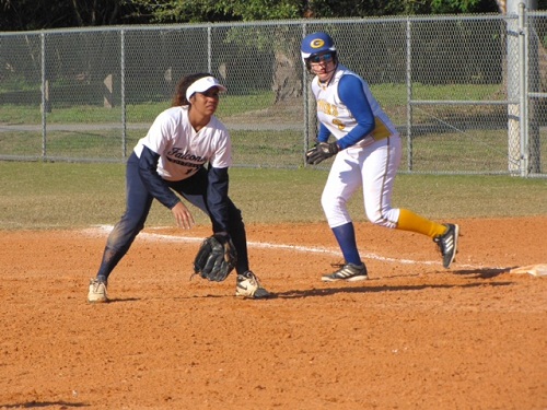 Lady Falcons Drop Doubleheader with Pine Manor