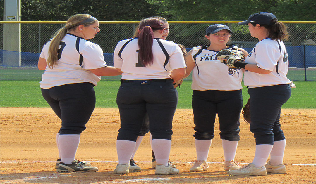 Falcons Not Able to Dominate Nest Against Eagles