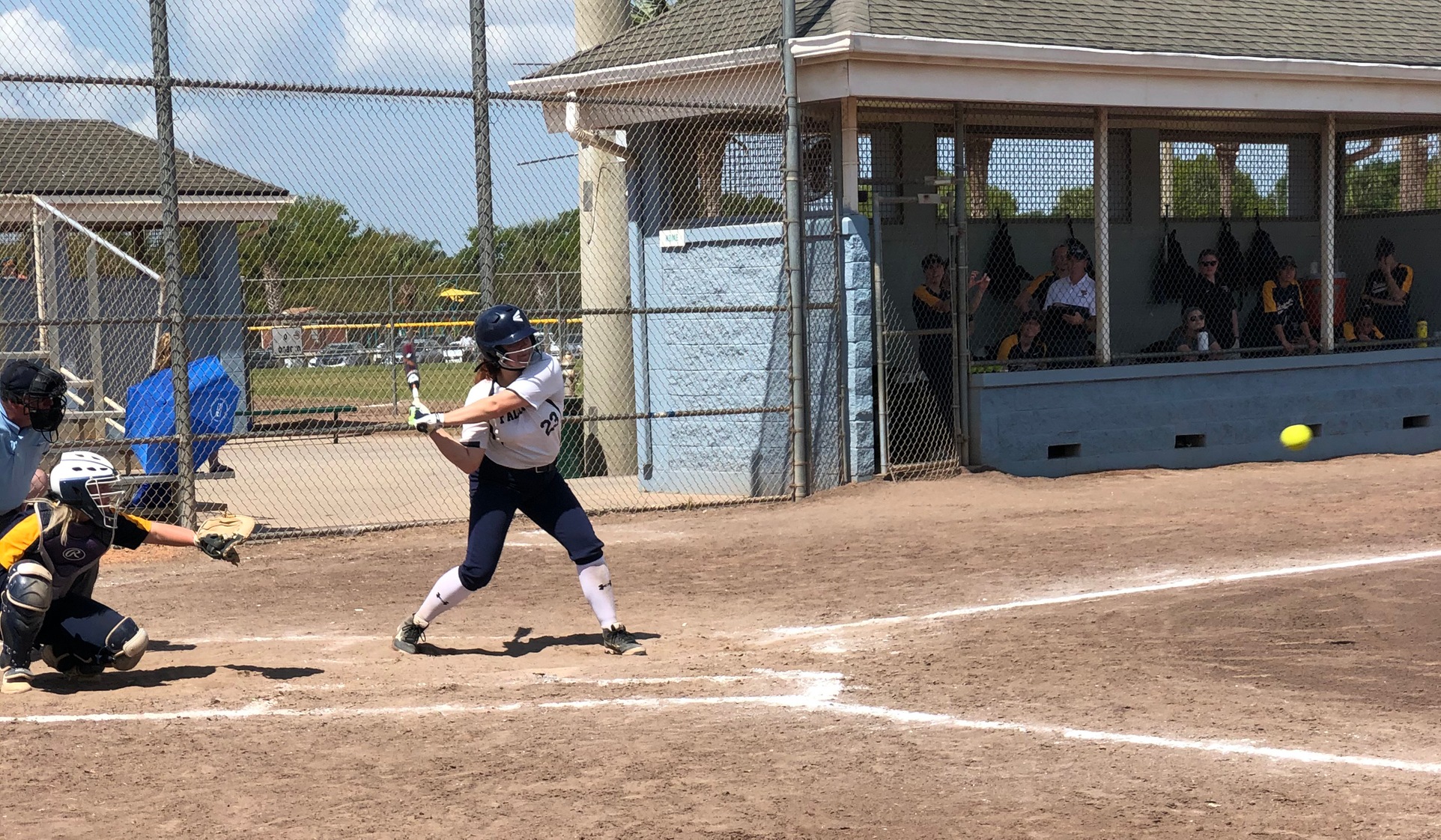 Softball: Falcons fall twice in 2020 season opening double-header