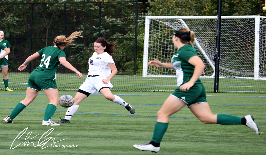 Falcons Protect Nest Against Owls; 4-0