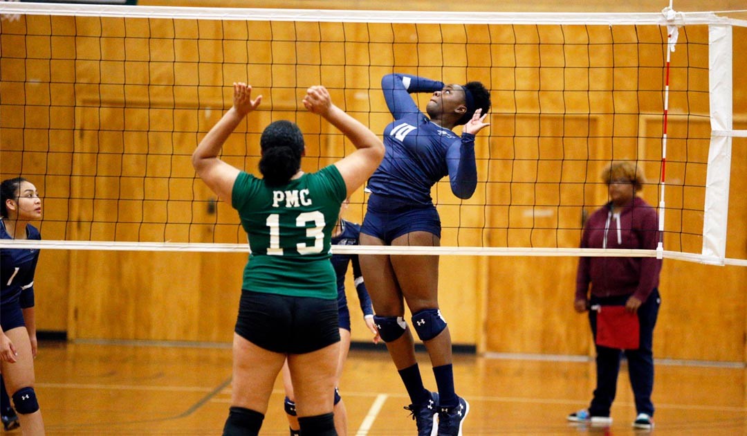 Volleyball Cruises Past The Gators For The Second Time This Season, 3-0