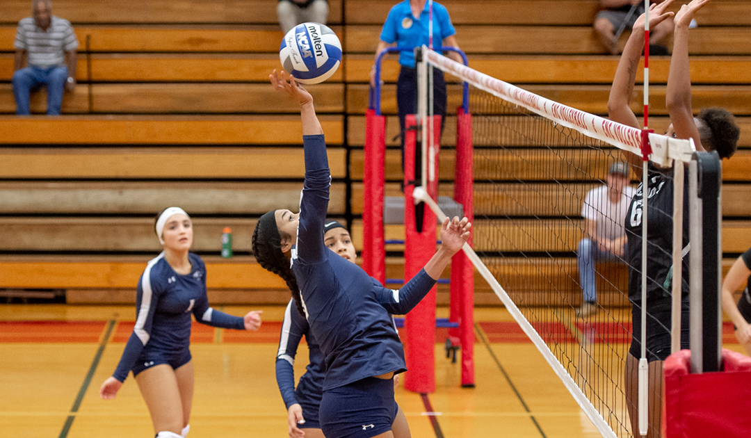 Lady Falcons Can't Finish Off The Pride On The Road