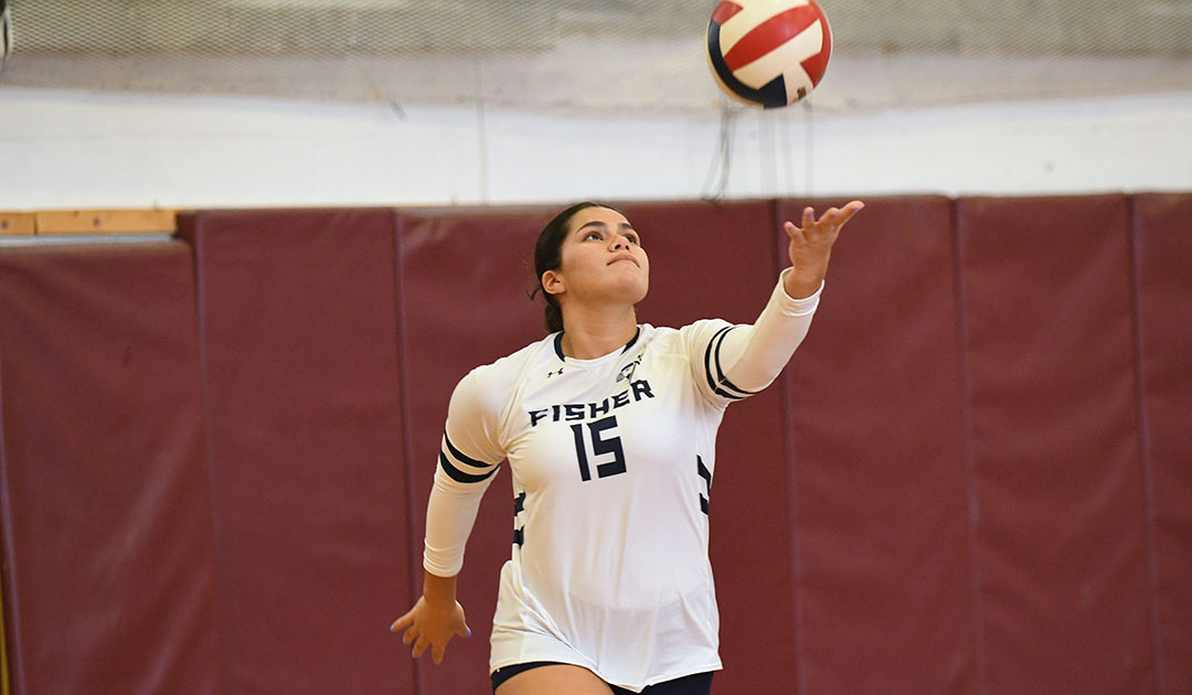Women's Volleyball: Falcons fall twice to Castleton & Western Conn.