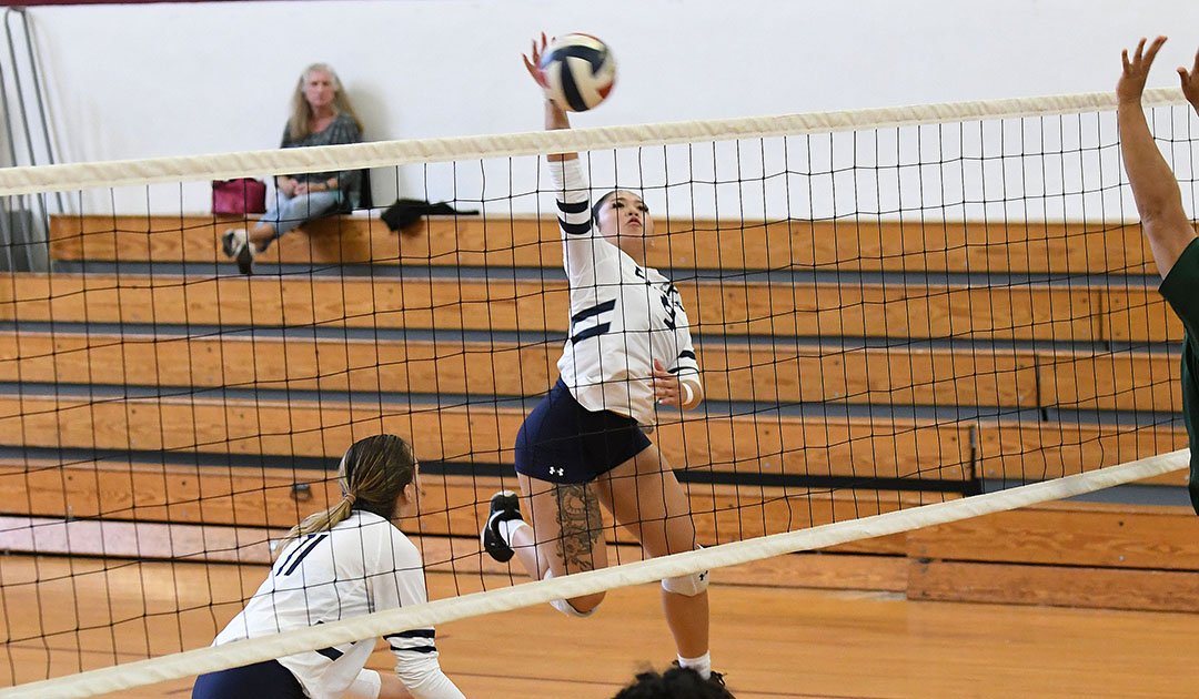 Women's Volleyball: Falcons return to the win column with sweep over Norwich